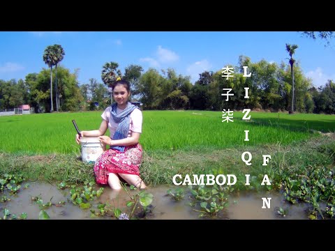 Cambodia Natural Girl- Catch Snails And Cook - Kravan