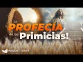 Todo sobre la fiesta de las primicias y las increbles conexiones profticas jim staley 2024