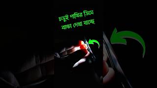 আপডেট,,চড়ুই পাখির ডিমে বাচ্চা দেখা যাচ্ছে🥰🐦 #birdsagro #shortsfeed #farming #birds