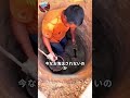 パキスタンの沈井式（ちんせいしき）井戸掘り方法#雑学