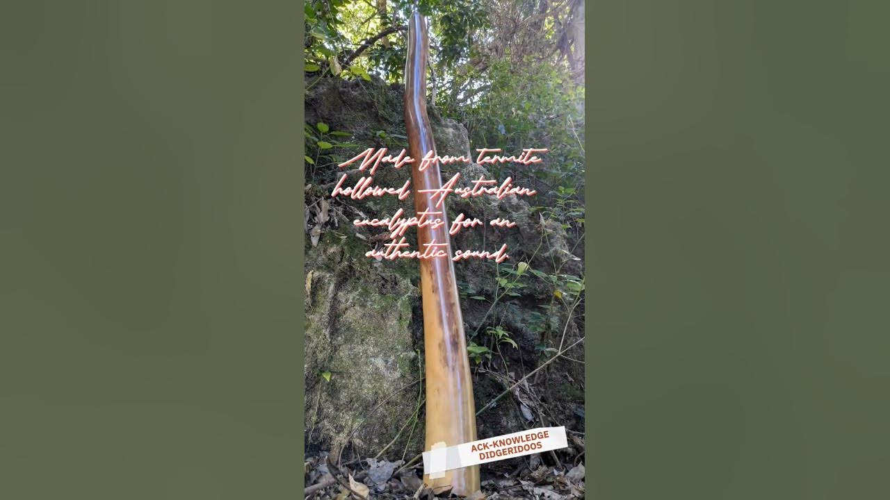ACK-KNOWLEDGE DIDGERIDOOS #004 #music #didgeridoo #4sale #culture #music #australia
