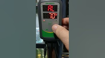 setting ink bird for high and low temperature alarms.