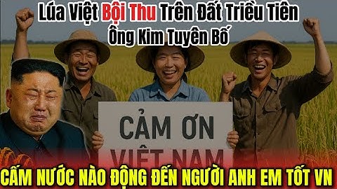 Lúa Việt Nam Bội Thu Trên Đất Triều Tiên, Ông Kim Jong Un Hạnh Phúc Mang Ơn Việt Nam!