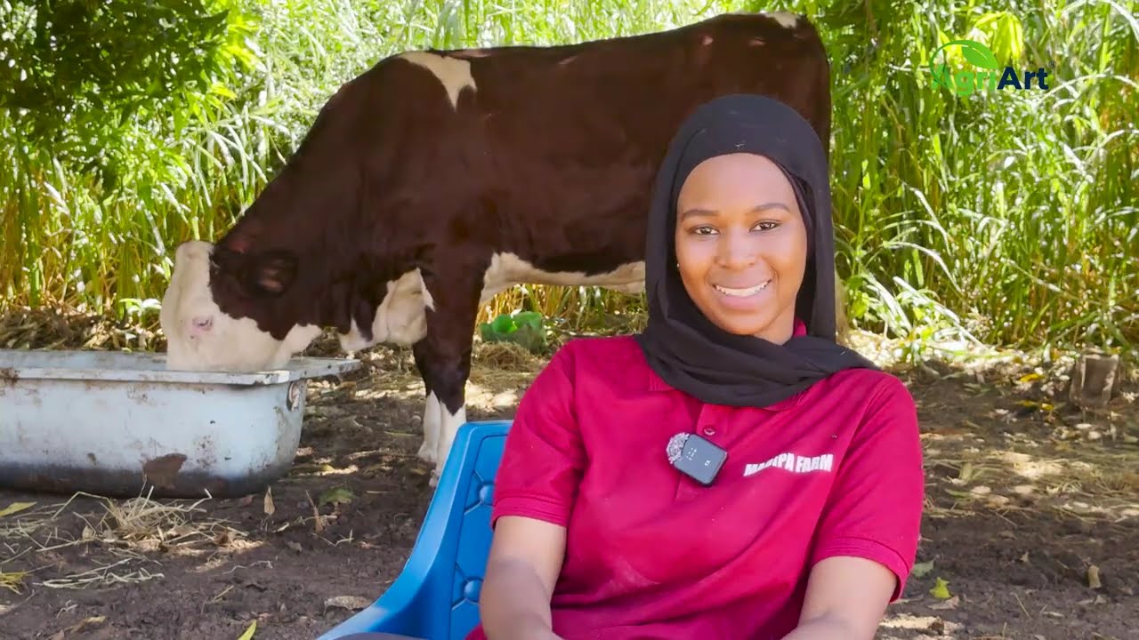 L'élevage bovin un secteur très rentable, à la découverte de MADIPA FARM.
