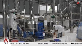 Indonesia’s 'green gold' (Part 2): Why China dominates South Sulawesi's seaweed trade