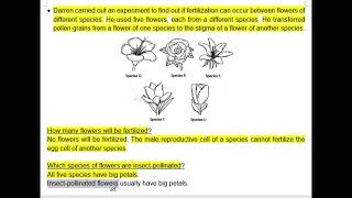 P5 Reproduction in Plants