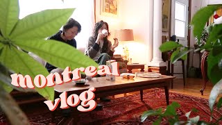 Christmas in Montreal vlog | Quebec City, cafe hopping, white Christmas