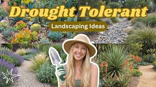 Smart! 🌵 Drought Tolerant Landscaping Ideas 2026 Easy Low Water Garden & Front Yard Design