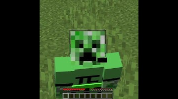 Fall Damage Logic In Minecraft 1.17 Makes No Sense #Shorts