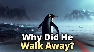 Nihilist Penguin The Real Story Explained Behind the "Death March" & Life-Changing Lesson