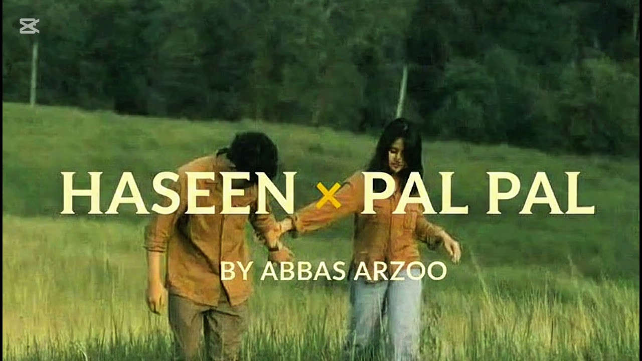 Haseen x Pal Pal || Abbas arzoo 