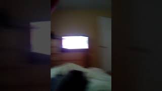 The Horse Preakness 144Th War Of Will