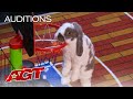 Bini the bunny performs epic stunts on agt  americas got talent 2021