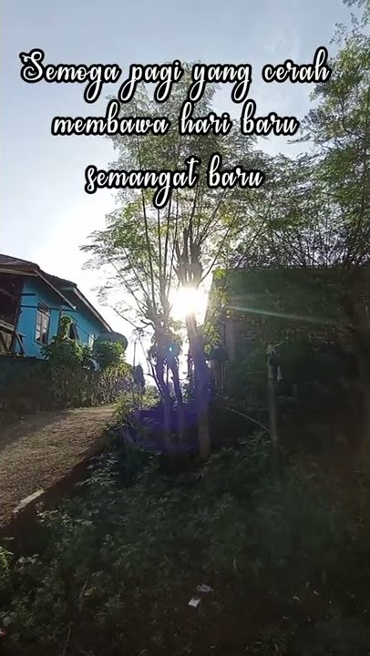 Selamat pagi, selamat hari minggu, Tuhan memberkati #shorts