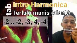 Tutorial Harmonica : Intro Terlalu Manis (Slank) dengan Tab dan Slow Motion