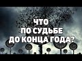 ПЕРЕМЕНЫ НА ПОРОГЕ. ЧТО ПО СУДЬБЕ ДО КОНЦА ГОДА? Онлайн гадание Таро