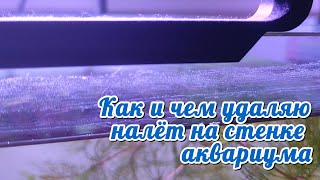 Как и чем удаляю налёт на стенке аквариума.