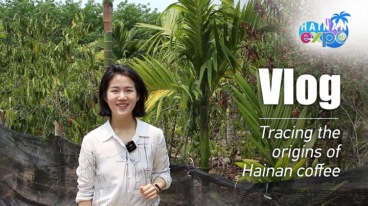 Vlog: Tracing the origins of Hainan coffee - DayDayNews