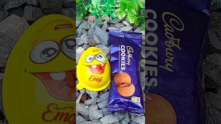 Cadbury dairy milk chocolate fill biscuits unboxing today #shorts#dairymilk#cadbury#chocolate