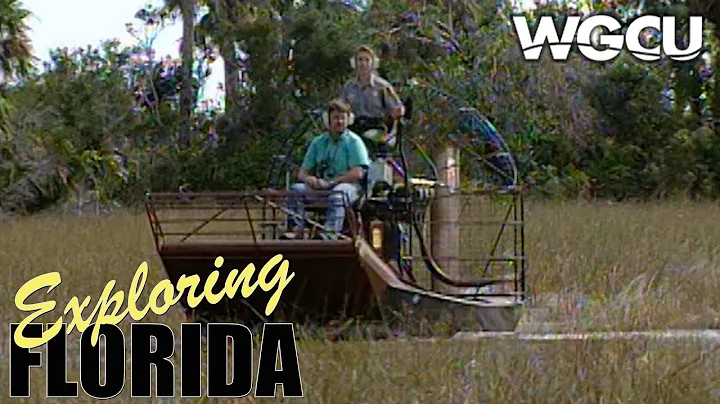 Big Cypress National Preserve South Florida Nation...