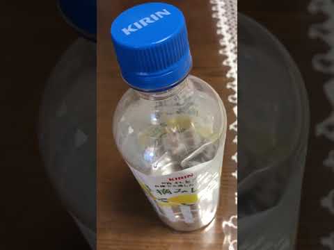 黒い羊 1時間練習 ❹魔女修行