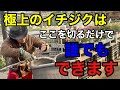 【イチジク剪定】今なら家庭で極上は作れます！　　　【園芸】【剪定】【初心者】