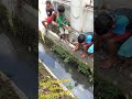 Bocil Mancing Goby, Mancing Mania#short