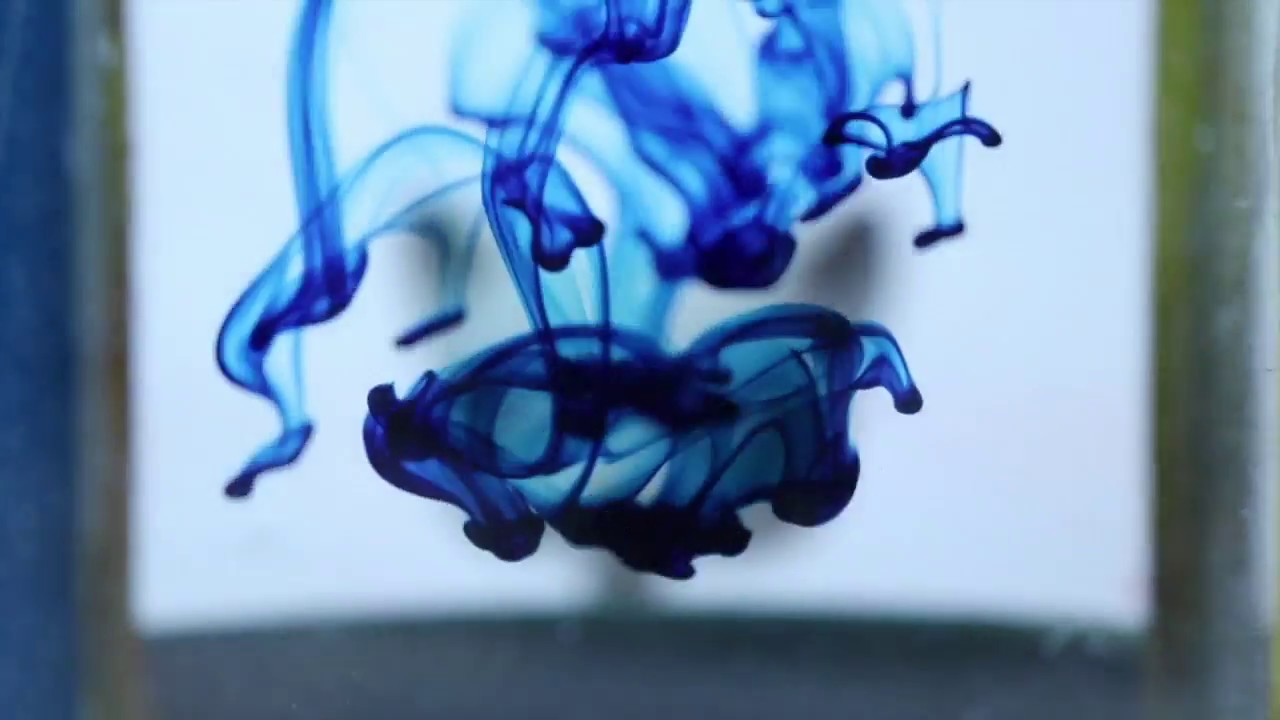 LPS- Hello Life Opening