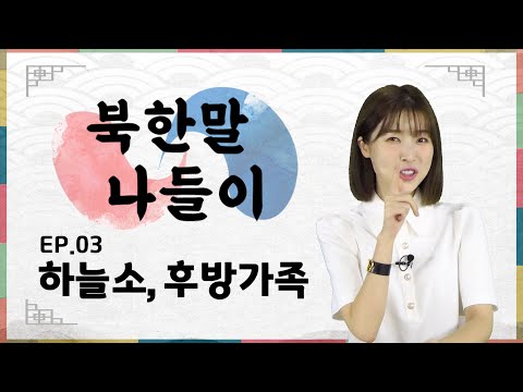(ENG·中文) 북한에는 뛰어다니는 ‘하늘소’가 있다?! [북한말 나들이 EP.03]