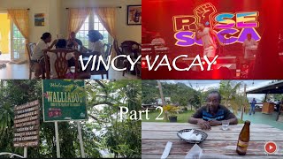 Vincy Mas 🇻🇨2025|  Week 2 in St.Vincent and the Grenadines  Net Worth