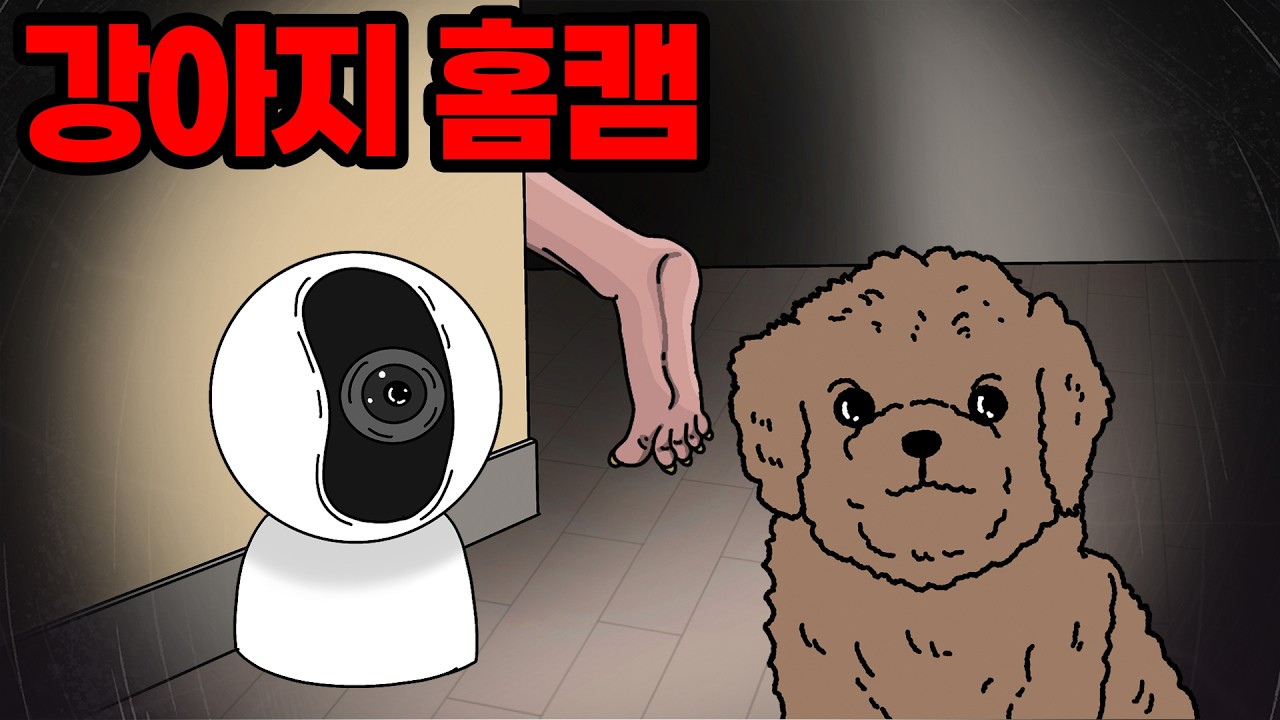 강아지 홈캠에 모르는 사람 발이 찍혔다.