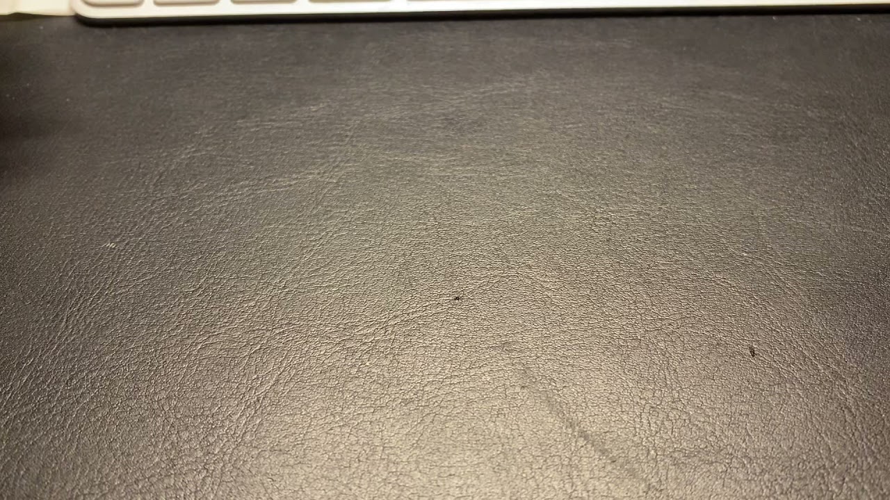 1857-O Seated Liberty Half Dollar