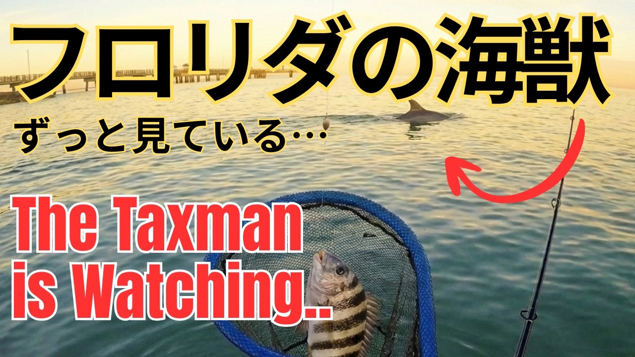 【フロリダ釣り】朝焼けのフォートデソト公園で下見。小さな1匹に癒やされる朝 Fishing at Fort De Soto