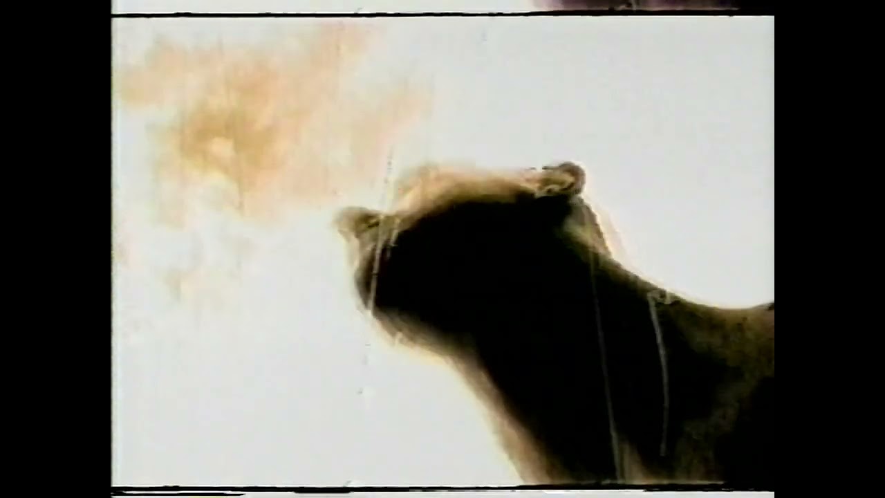 Fight - "Blowout In The Radio Room" (1995) [MTV Music Video]