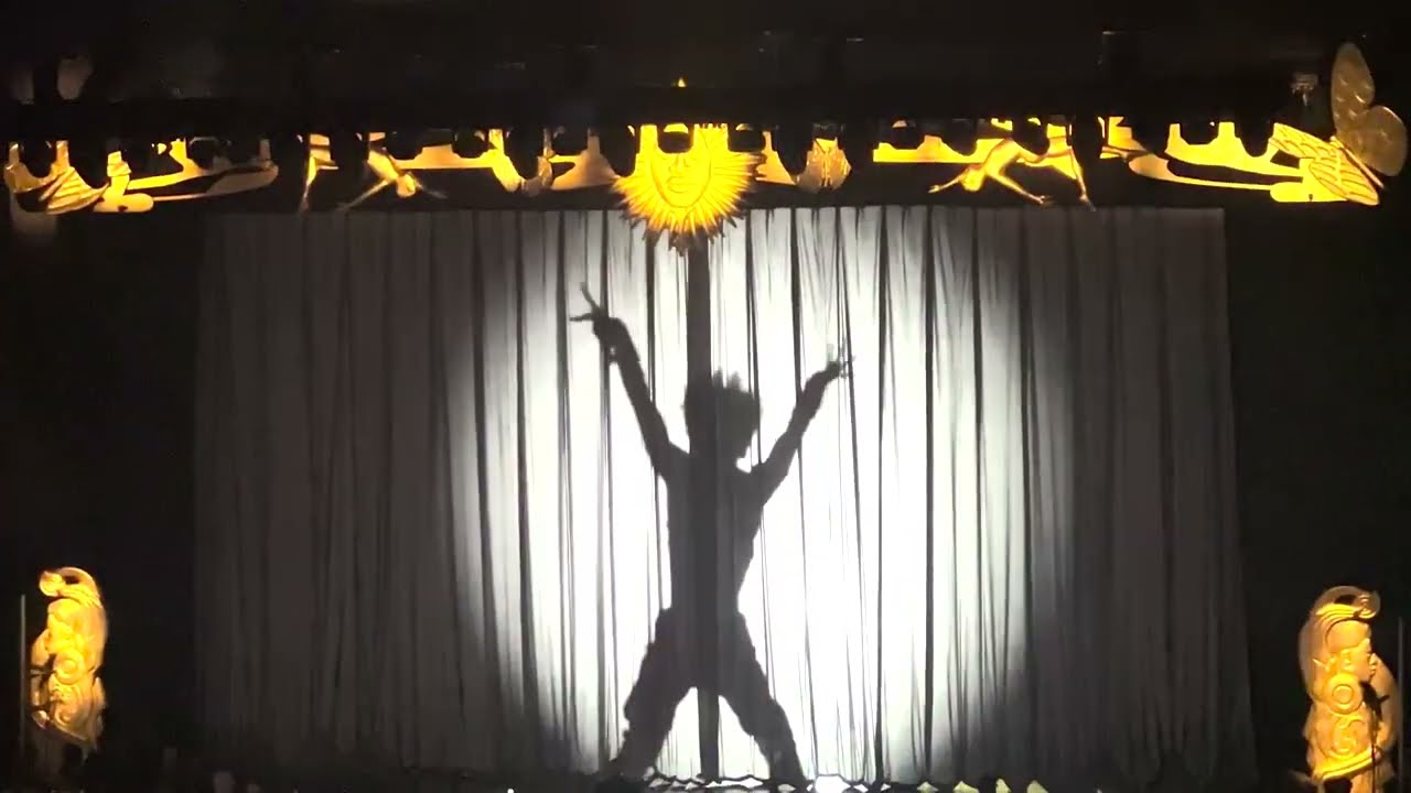 Unforgettable Night: Lil Nas X Takes Over DC in an Epic Concert!