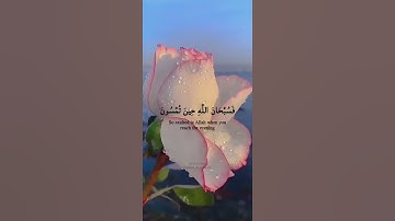 ( فسبحان الله حين تمسون وحين تصبحون )تلاوة مميزة للقارئ عبدالله الموسى