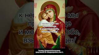 Тропарь Пресвятой Богородице пред иконой Ея «Владимирской», глас 4, 3 июня по н.ст.