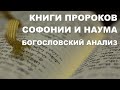 Пророк Софония. Пророк Наум. Толкование. Библия. Ветхий Завет. Богословие.