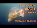 Ловля карпа на ФЛЭТ кормушки ( подводная съемка )