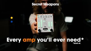 ギター Poly Ample - ギター