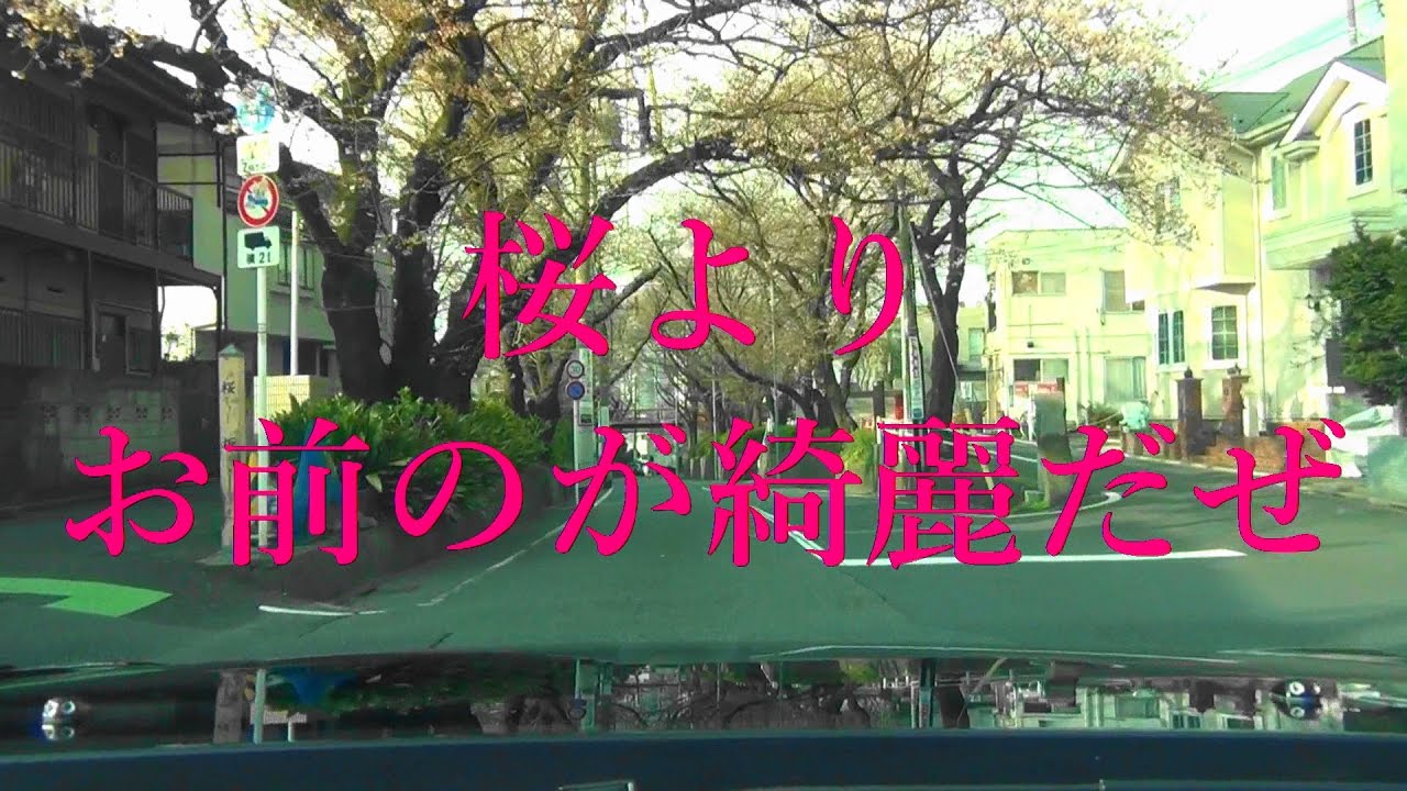 ばんかけの後に桜坂行くよ！桜よりお前のが綺麗だぜ？なんてね笑