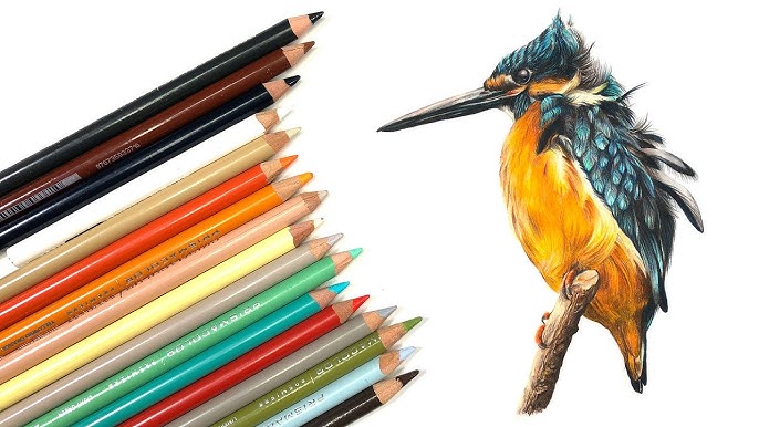 Color pencil art - Hems - Drawings & Illustration, Animals, Birds, & Fish,  Birds, Kingfisher - ArtPal