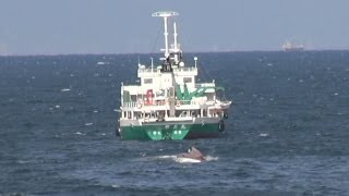 漁船２隻と貨物船接触  ２人死亡、和歌山沖