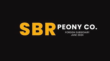 ACCA SBR - Peony Co Foreign Subsidiary June 2024