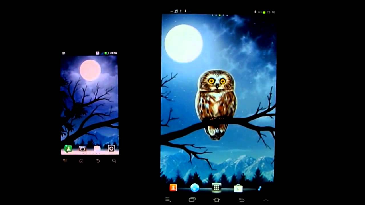 Unduh 300 Wallpaper Android Owl HD Paling Keren Unduh 300 Wallpaper Android Owl HD Paling Keren