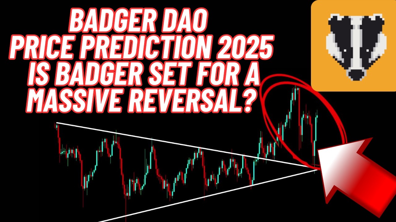 Badger DAO Price Prediction 2025 Is BADGER Set for a Massive Reversal? -  YouTube