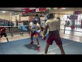 Amateur Boxer vs Professional Boxer [ELITE SPARRING] 5