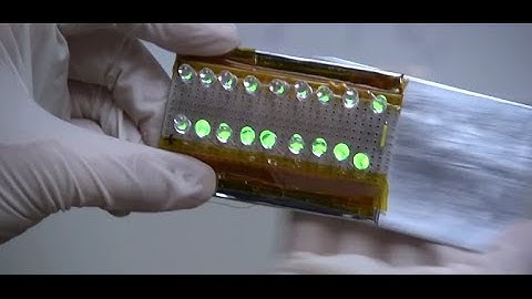 Harvesting the World