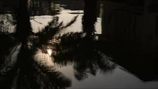 (background video) Shadow