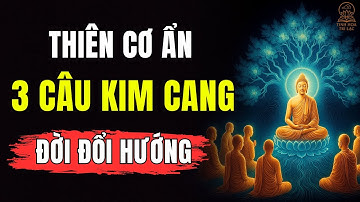 Thiên Cơ Ẩn Trong 3 Câu Kinh Kim Cang – Ai Ngộ Ra, Đời Sẽ Đổi Hướng | Tinh Hoa Trí Lạc